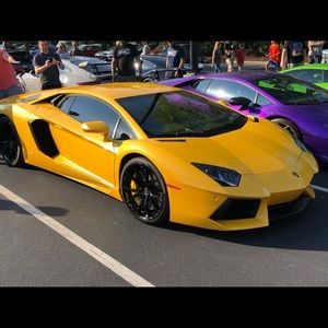 Meet your Posher, Winston